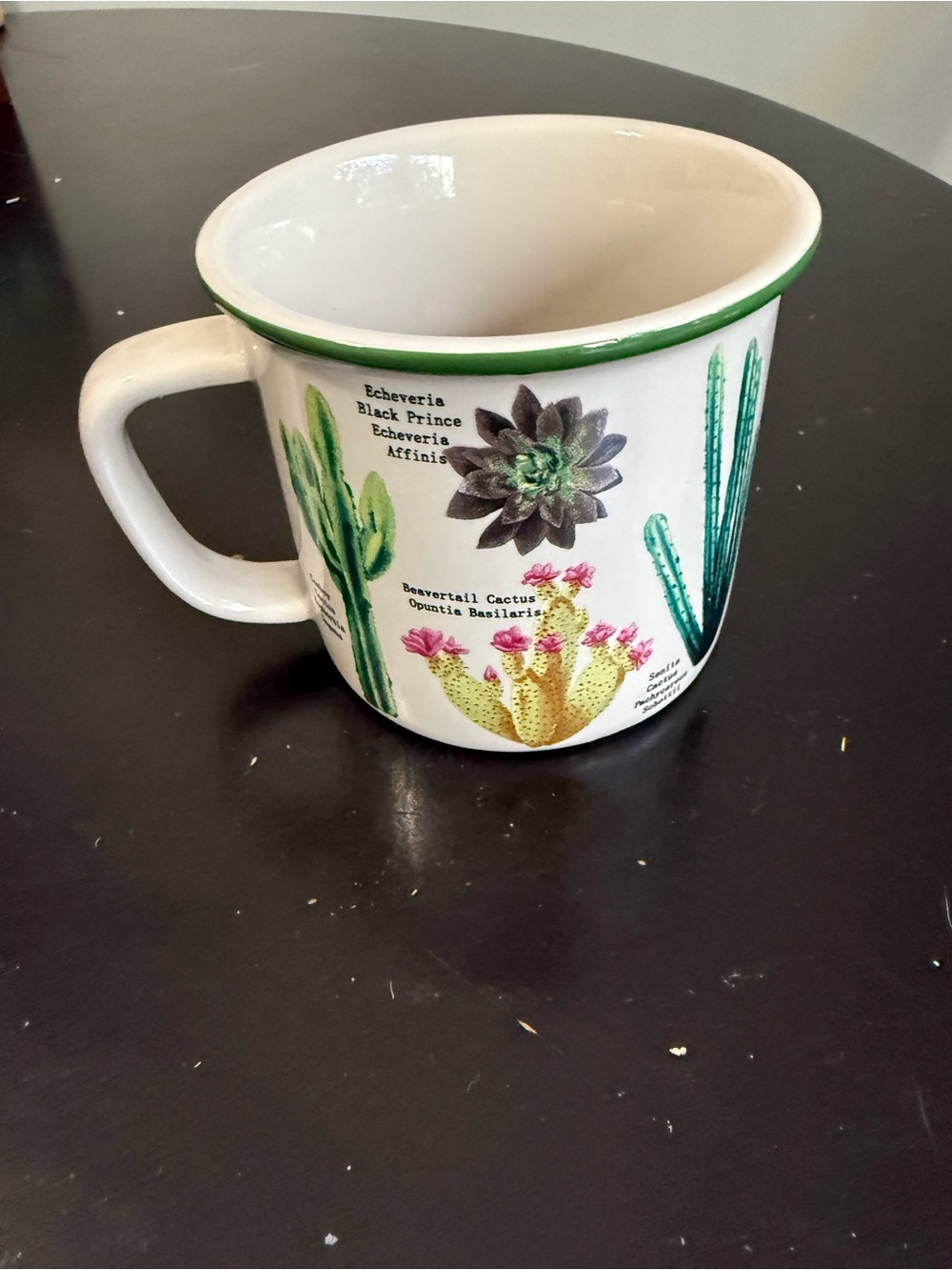 Now Designs Heritage Mug - Botanical Cacti